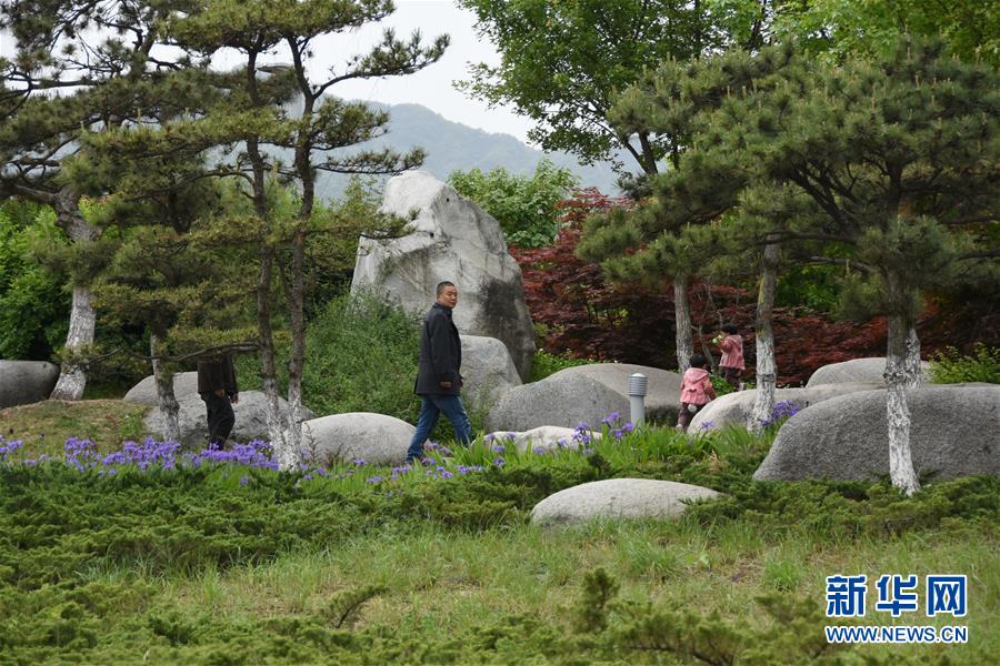 （新华视点·图文互动）（1）警惕重金“移石造景”之风：有的景观石一块逾百万元